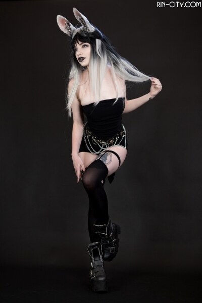 Creator Photo #21988