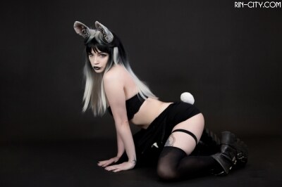 Creator Photo #22018