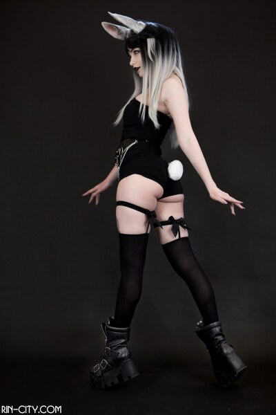 Creator Photo #22021