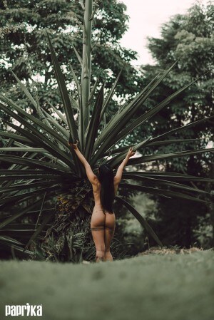 Mmanuelle Guimaraes Photo #45