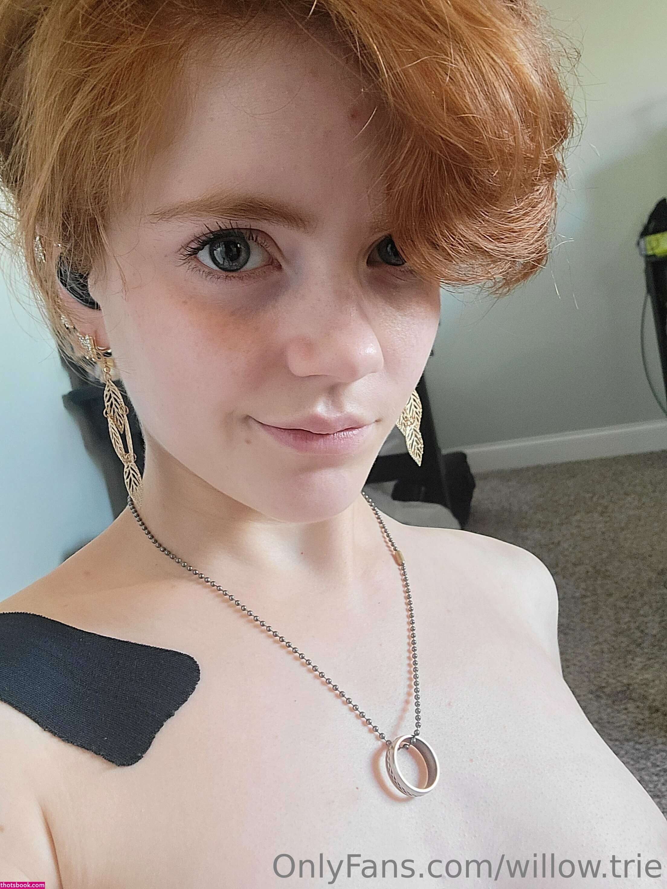 Willow Trie Photo #14