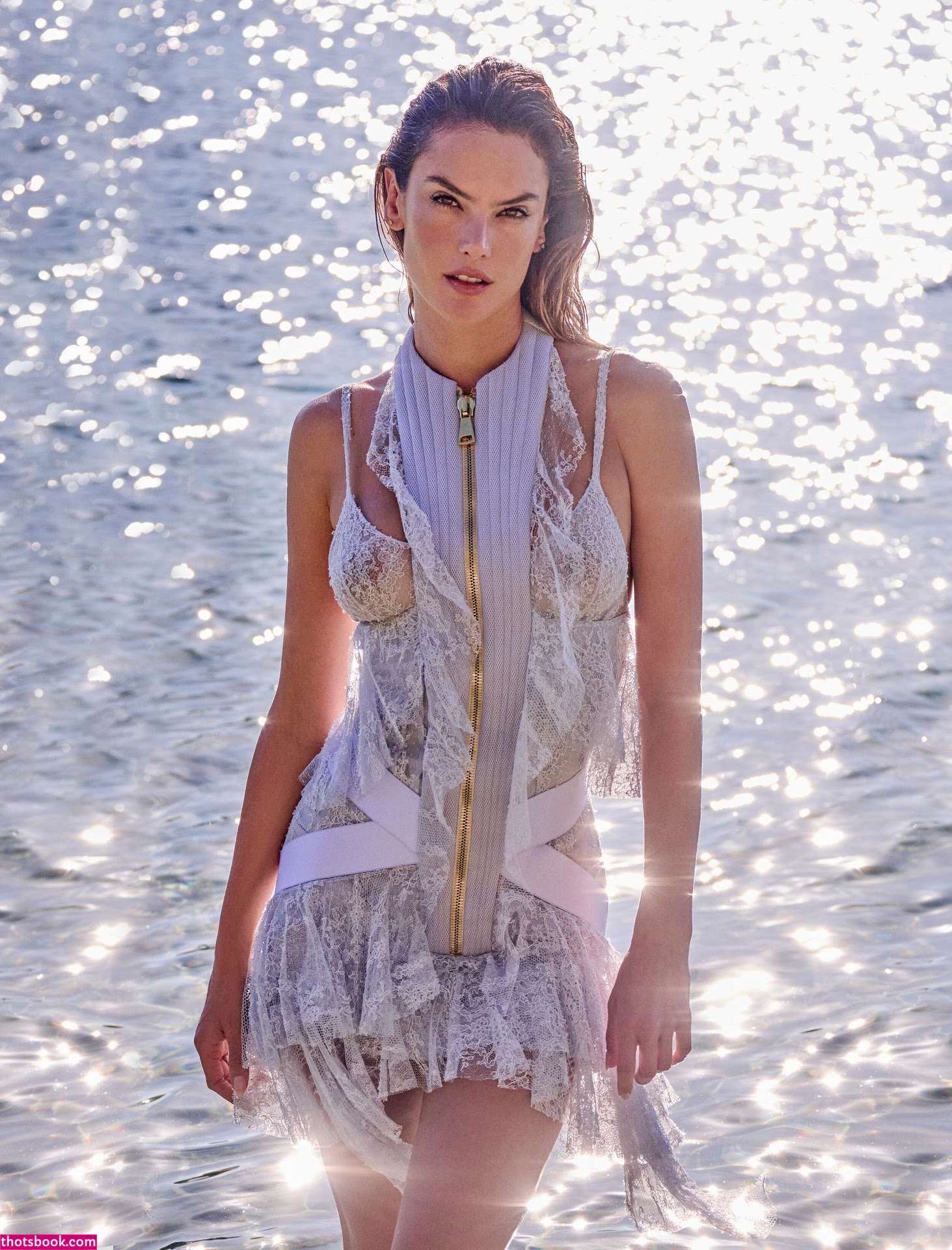 Alessandra Ambrosio Photo #118