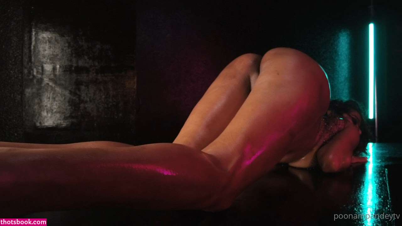 Poonam Pandey Photo #40