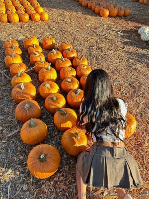 Autumn Falls Photo #151