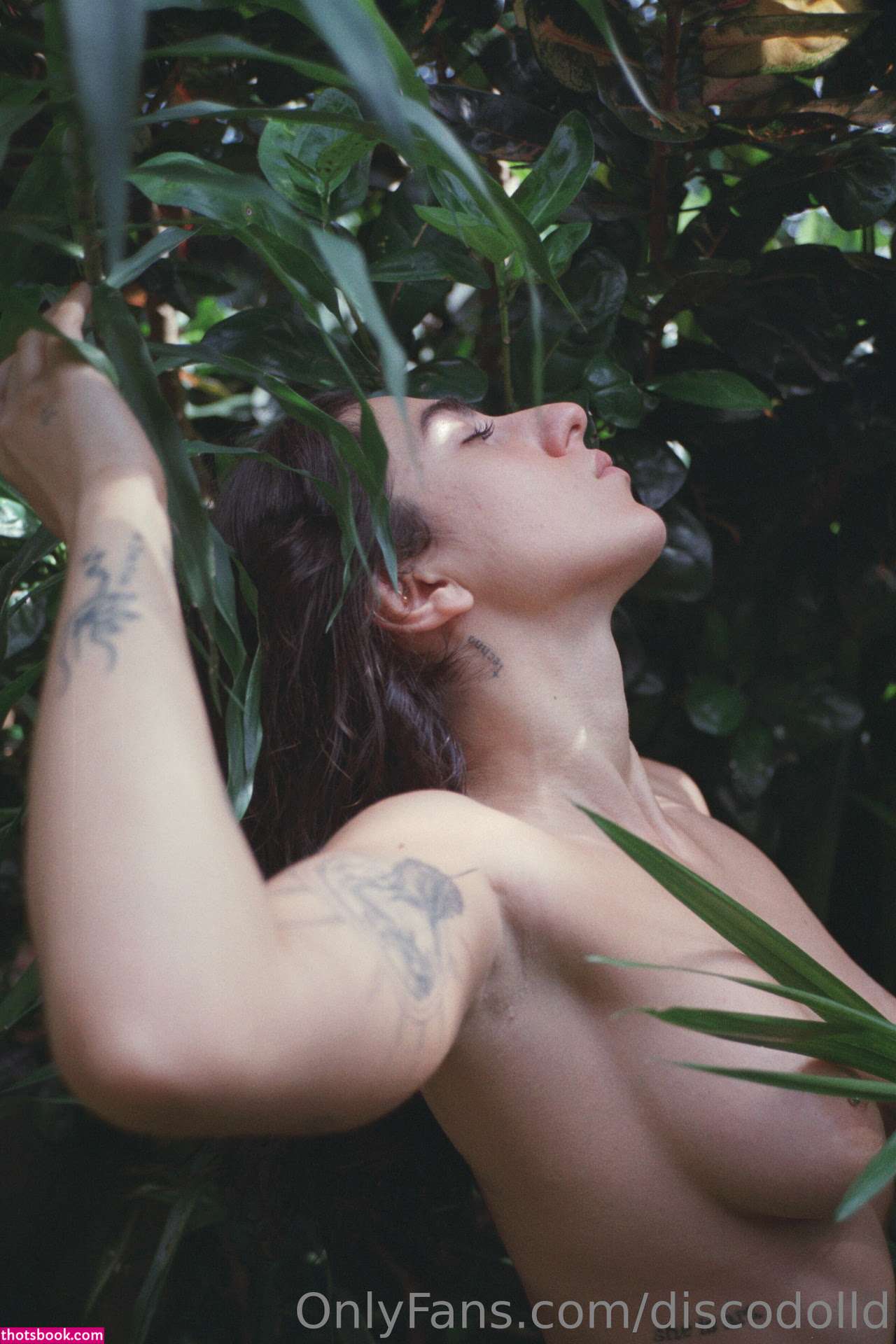 discodoll Photo #108