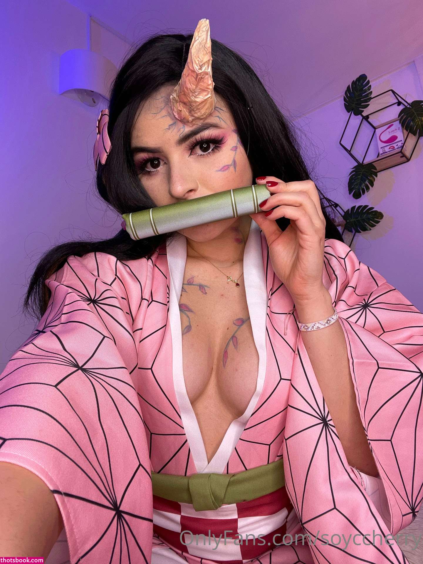 soyccherry Photo #120