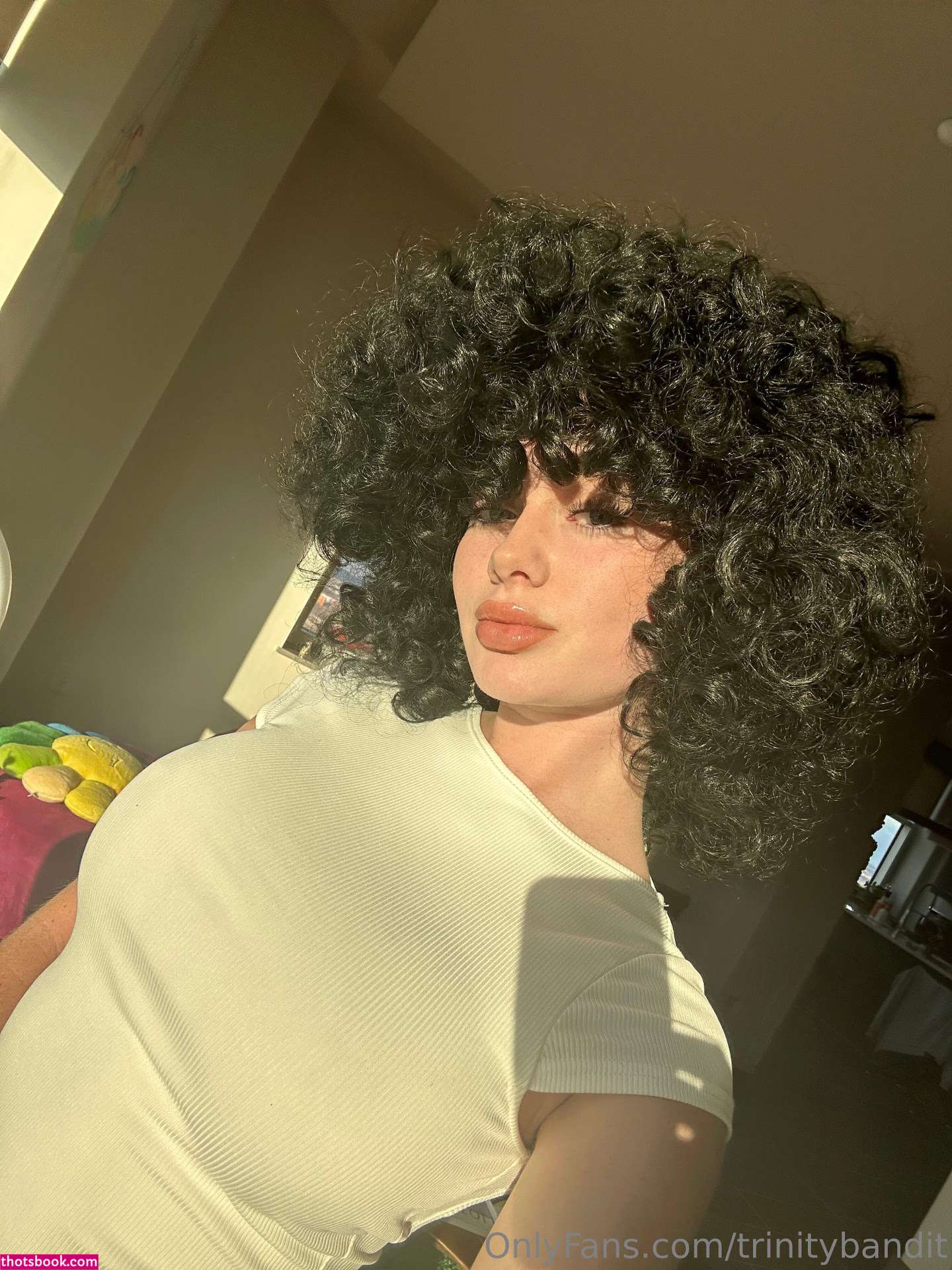 Trinity Bandit Photo #241