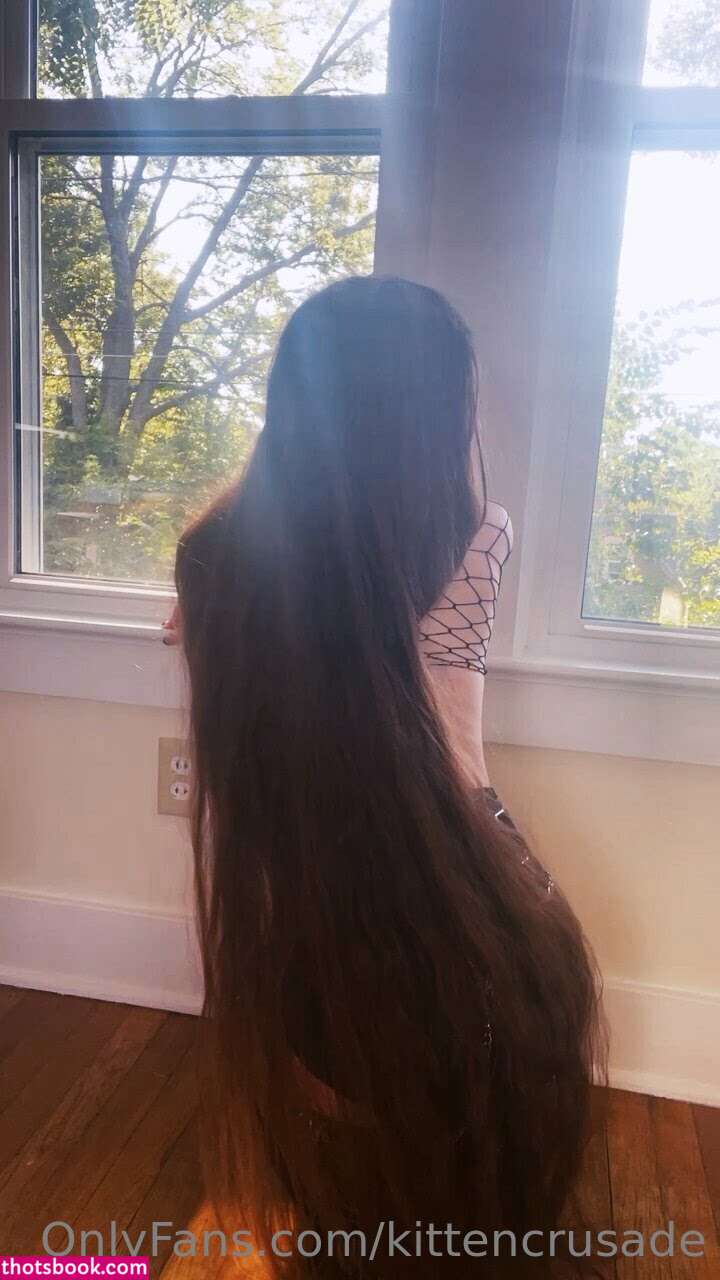 kittencrusade Photo #63