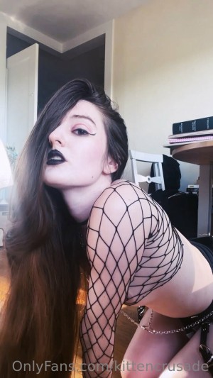 kittencrusade Photo #59