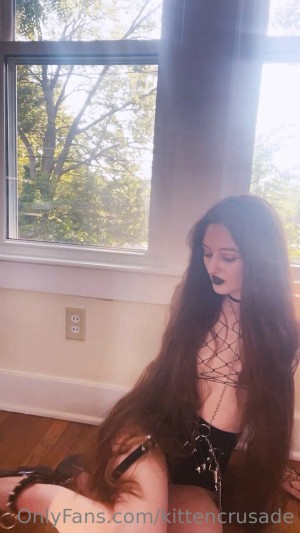 kittencrusade Photo #64