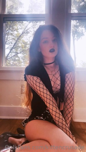 kittencrusade Photo #72