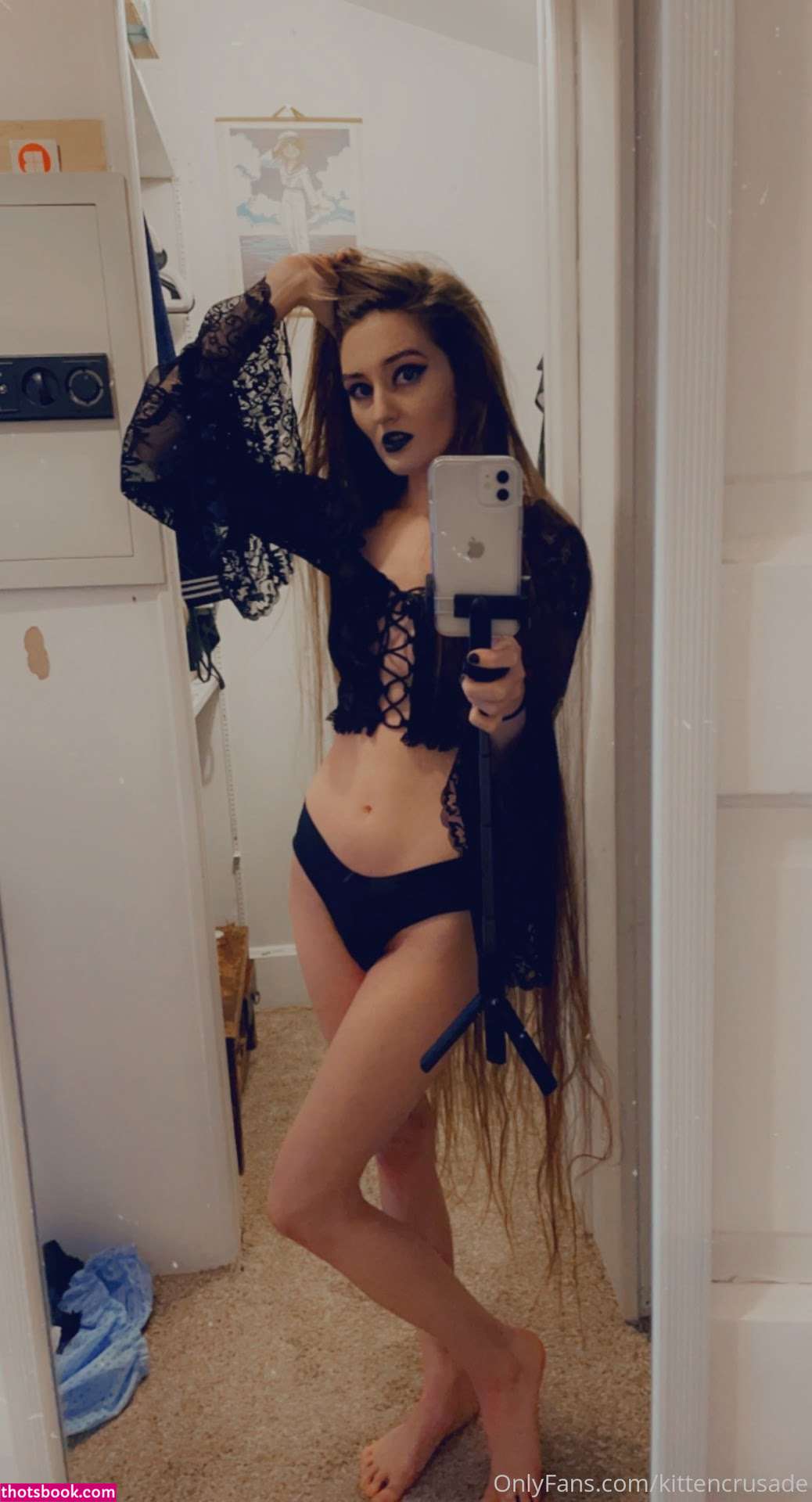 kittencrusade Photo #111