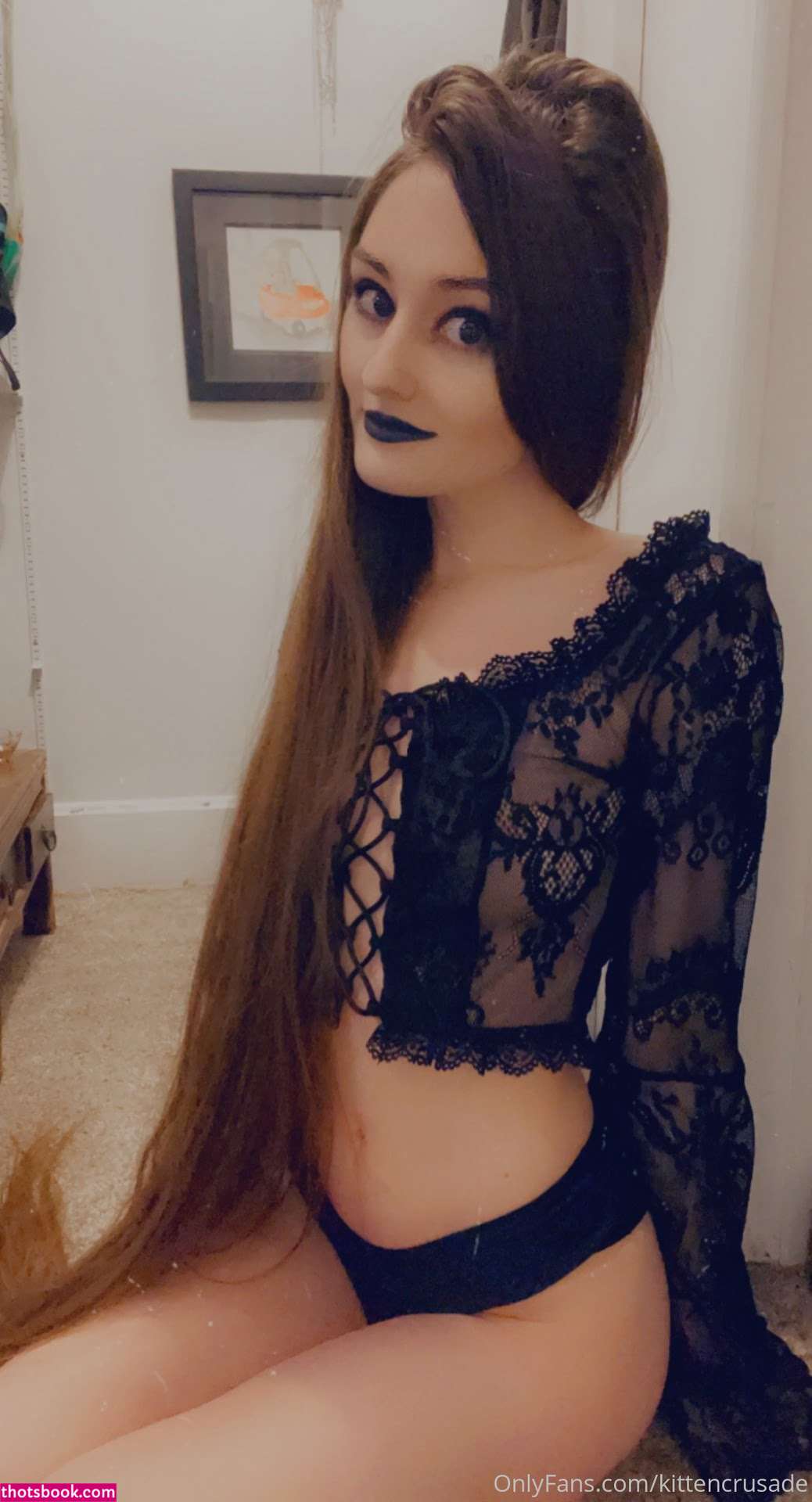 kittencrusade Photo #114