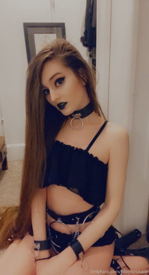 kittencrusade Photo #112