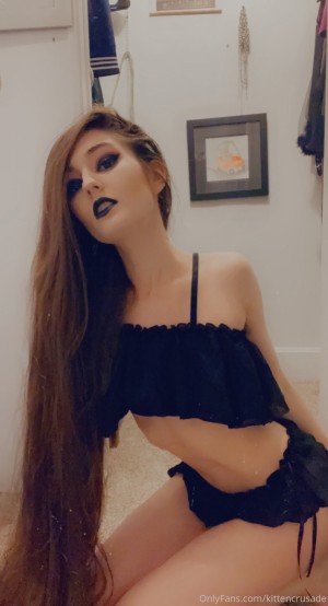 kittencrusade Photo #113