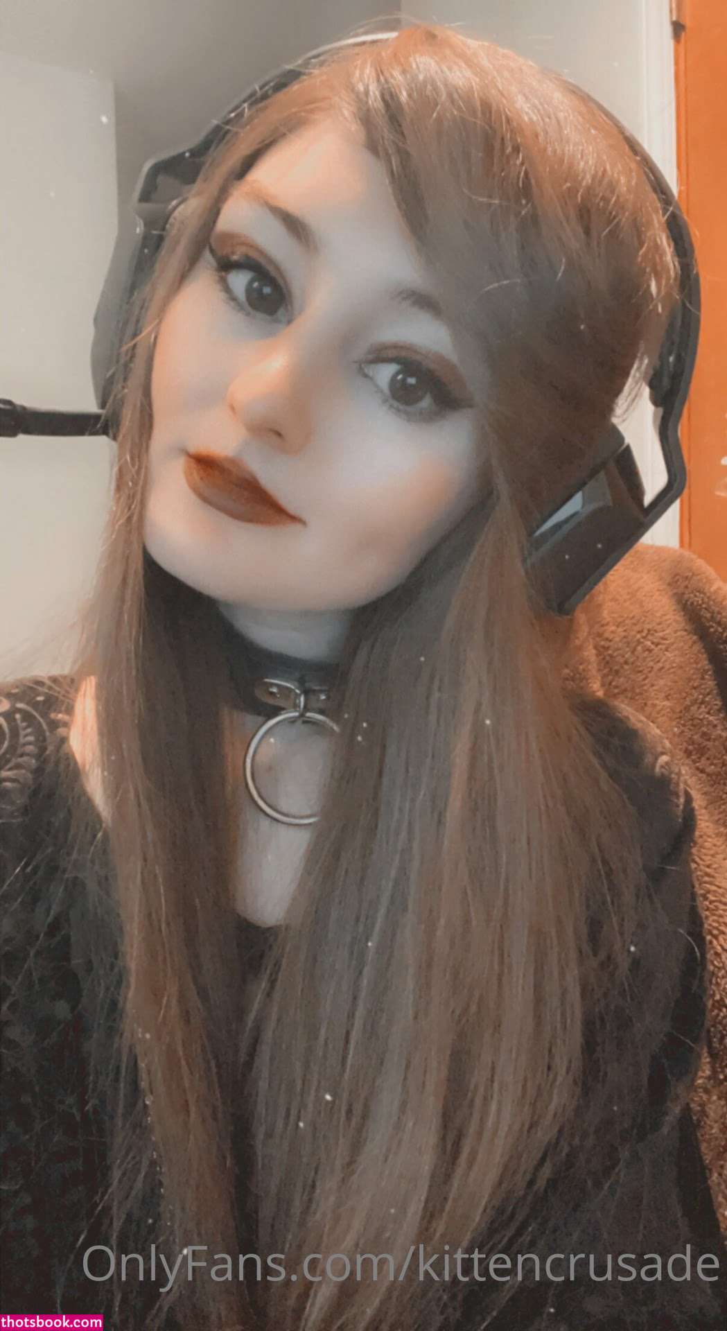 kittencrusade Photo #120