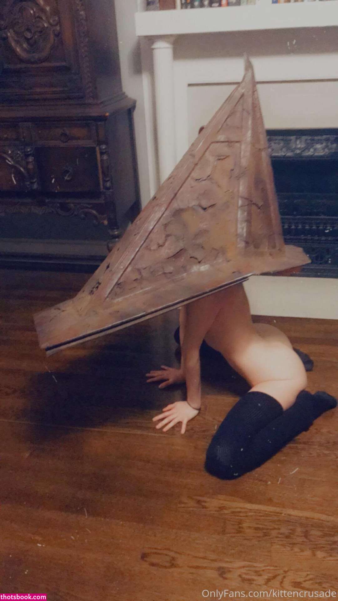 kittencrusade Photo #150