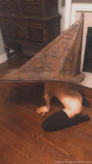 kittencrusade Photo #132