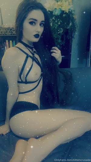 kittencrusade Photo #142