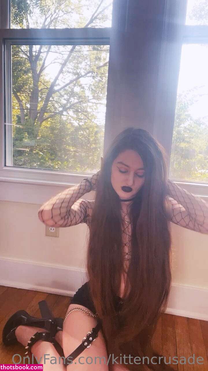 kittencrusade Photo #161