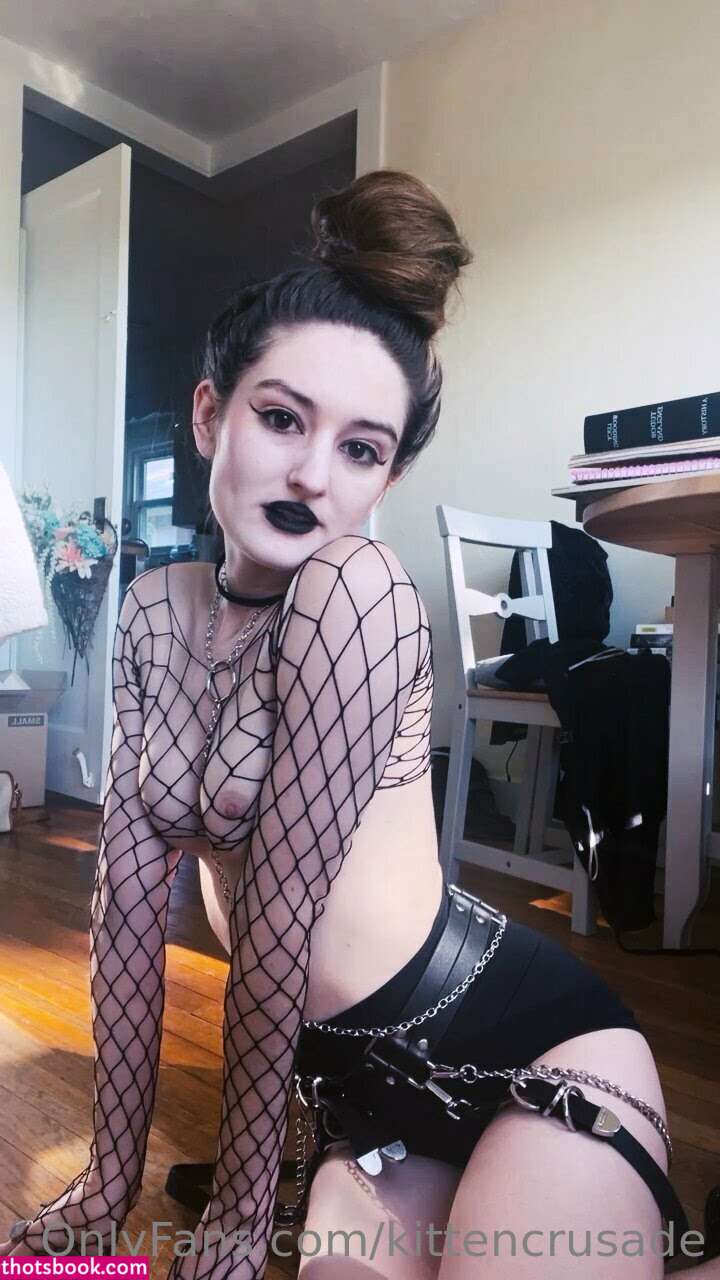 kittencrusade Photo #162