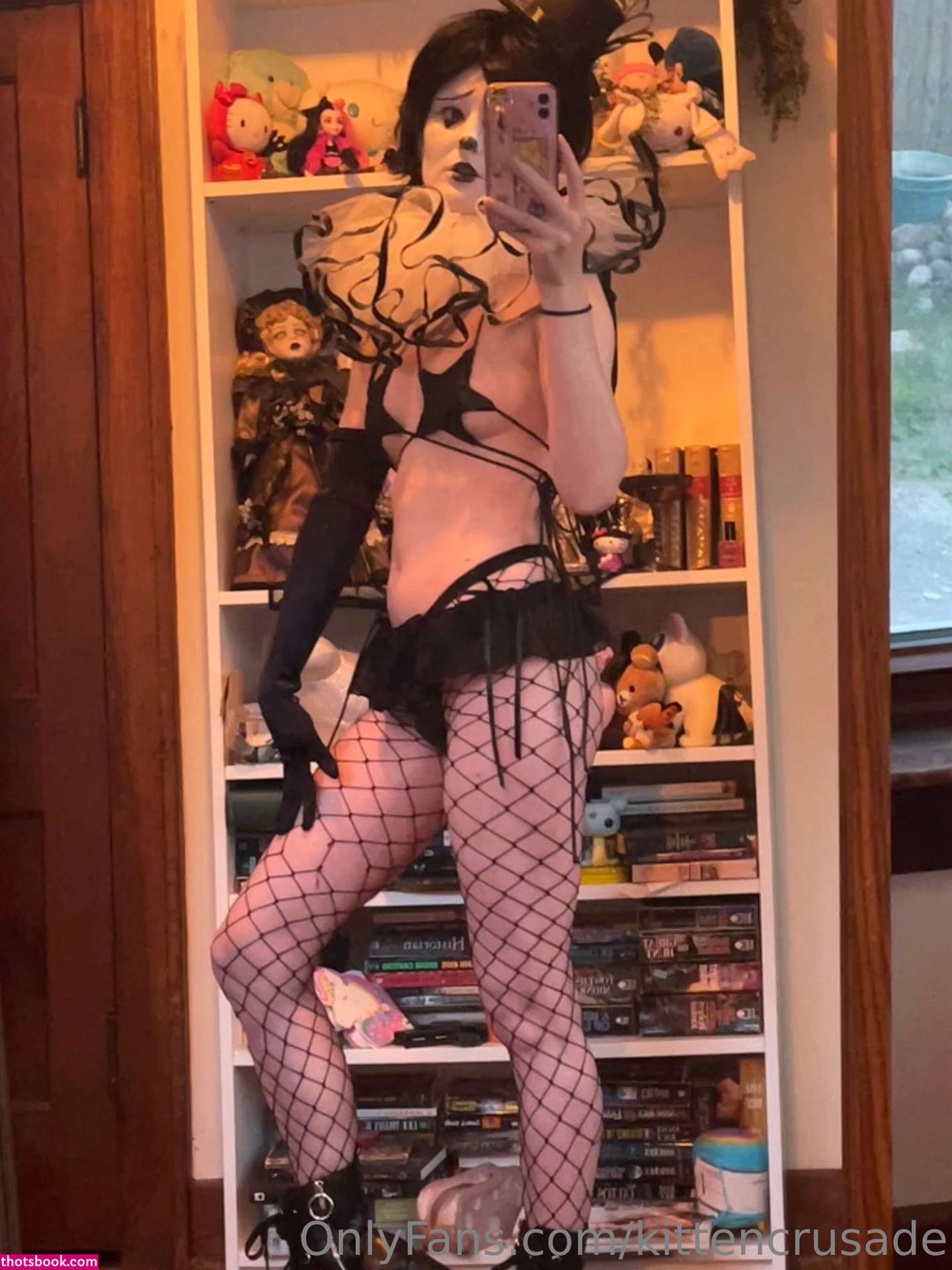 kittencrusade Photo #163