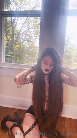 kittencrusade Photo #161