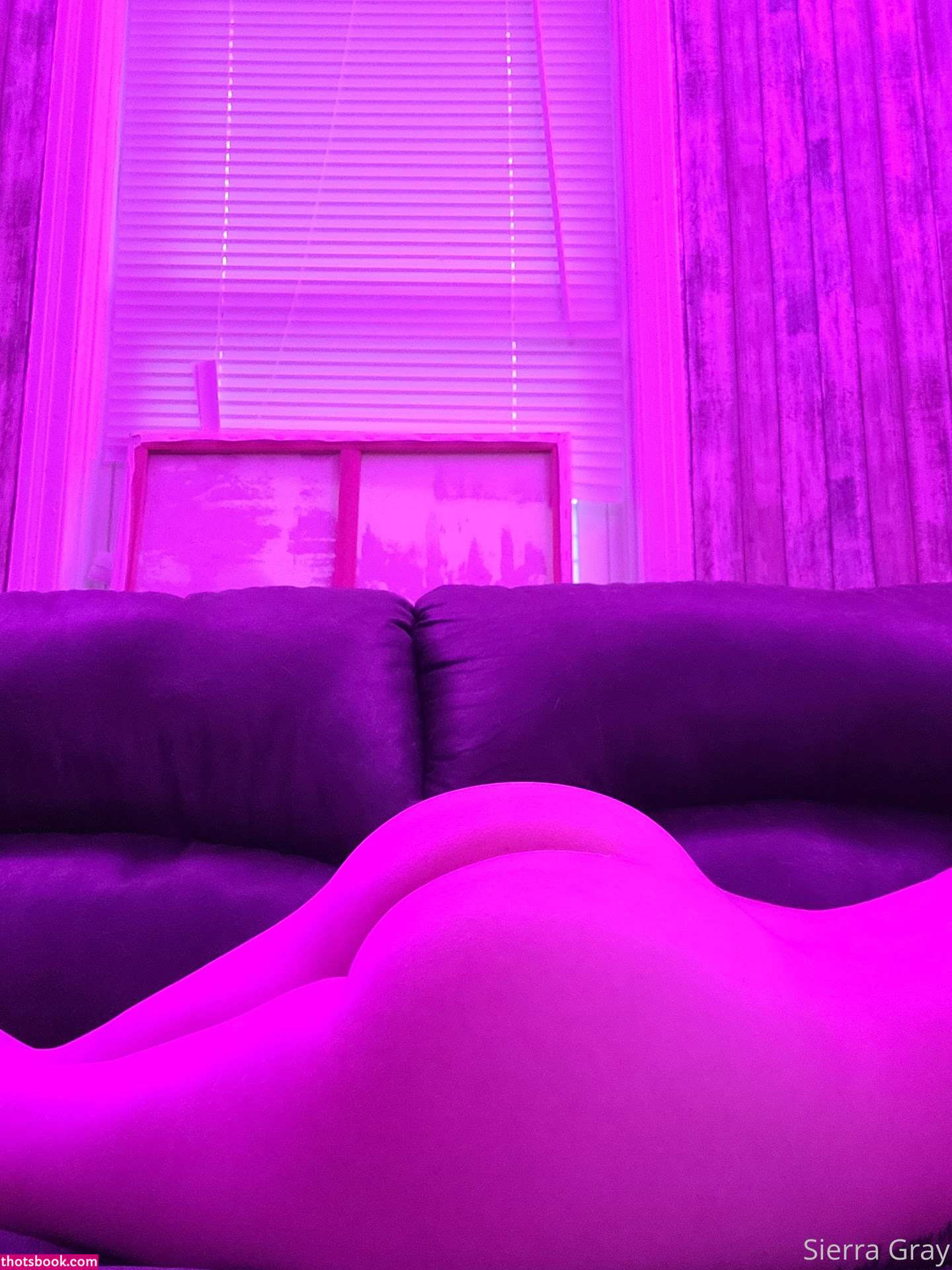 Sierra Gray Photo #101