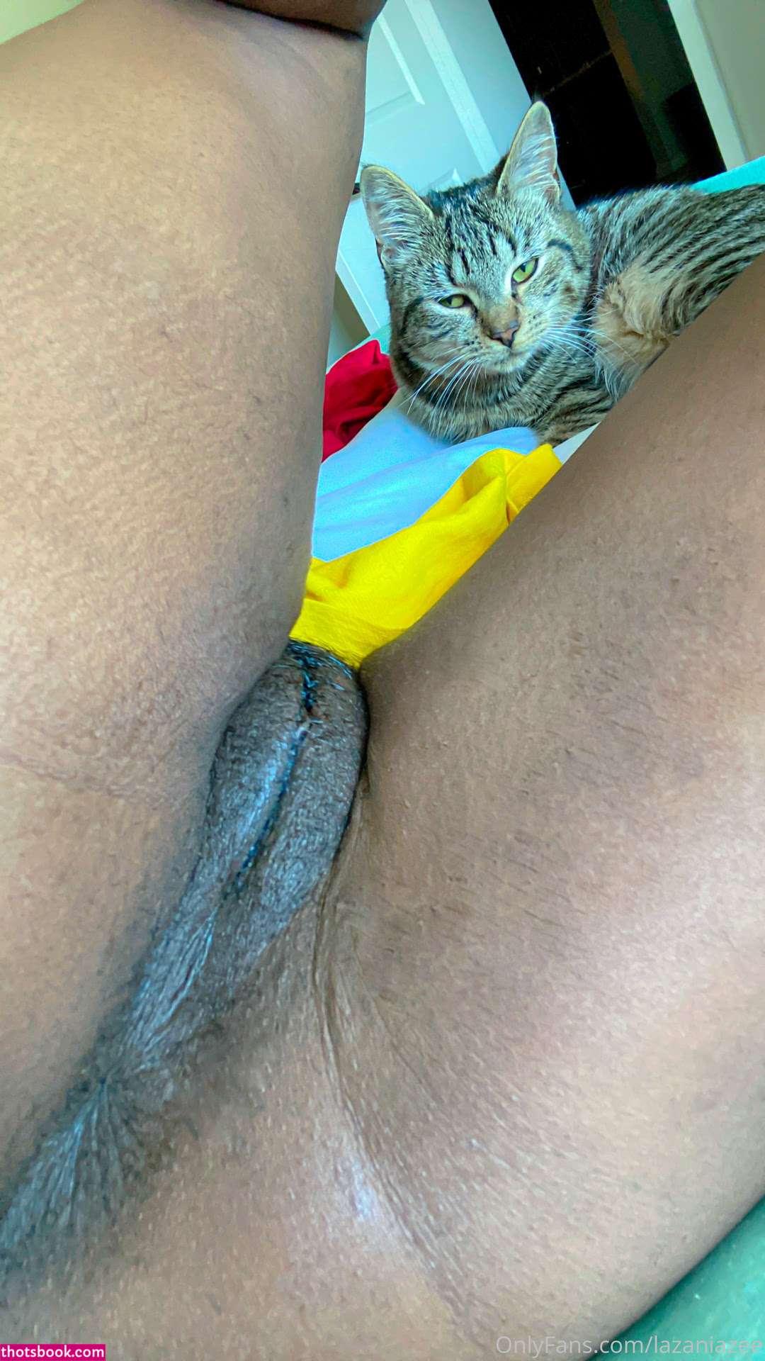 Lazaniazee Photo #41