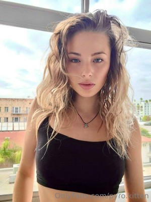 Pyro Kitten Photo #22