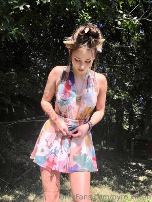 Pyro Kitten Photo #57