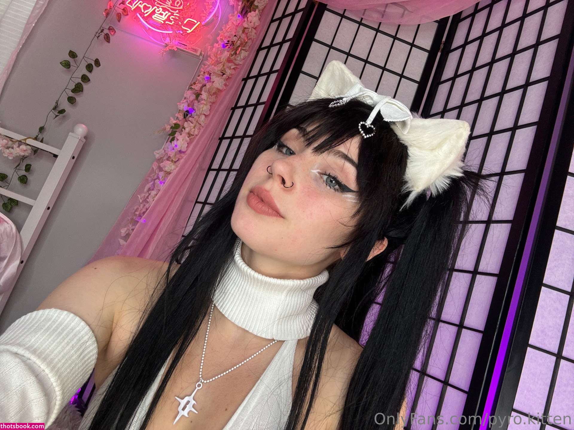 Pyro Kitten Photo #99