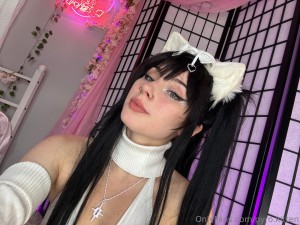 Pyro Kitten Photo #99