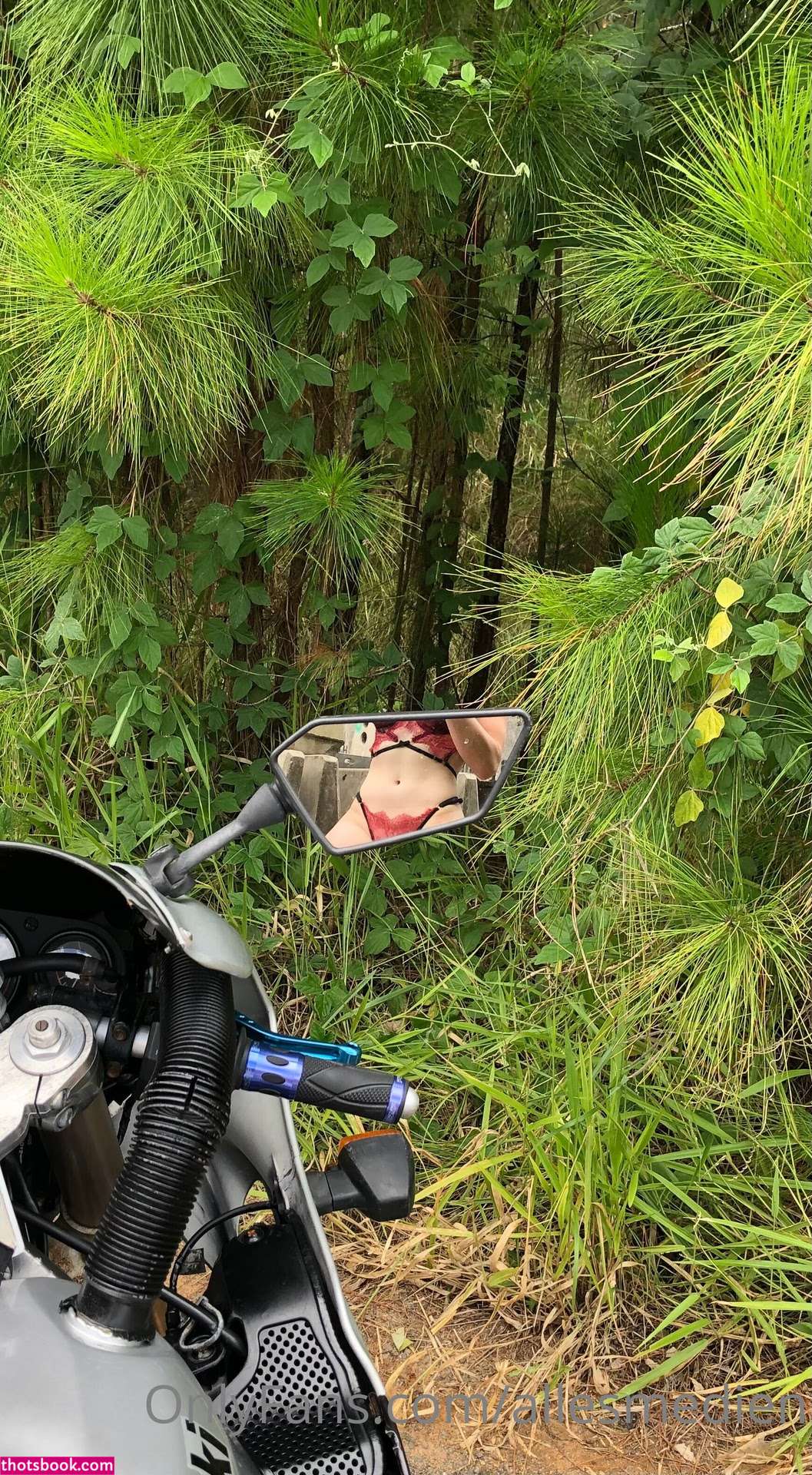 allesmedien Photo #49