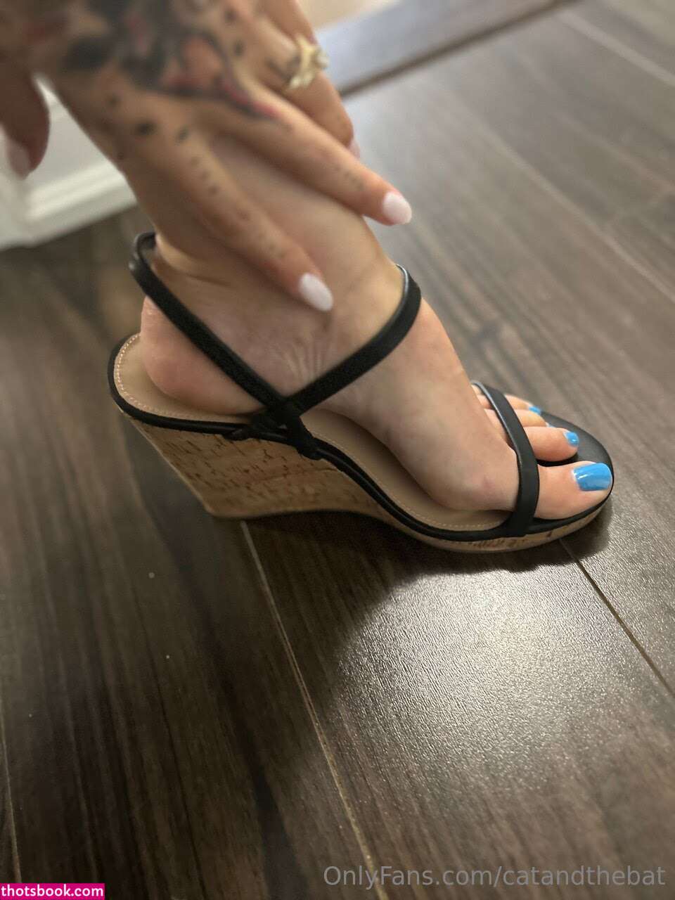 Catandthebat Photo #304