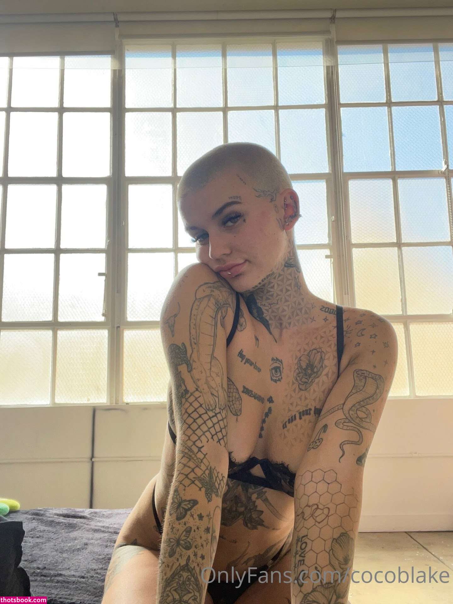 Coco Blake Photo #11