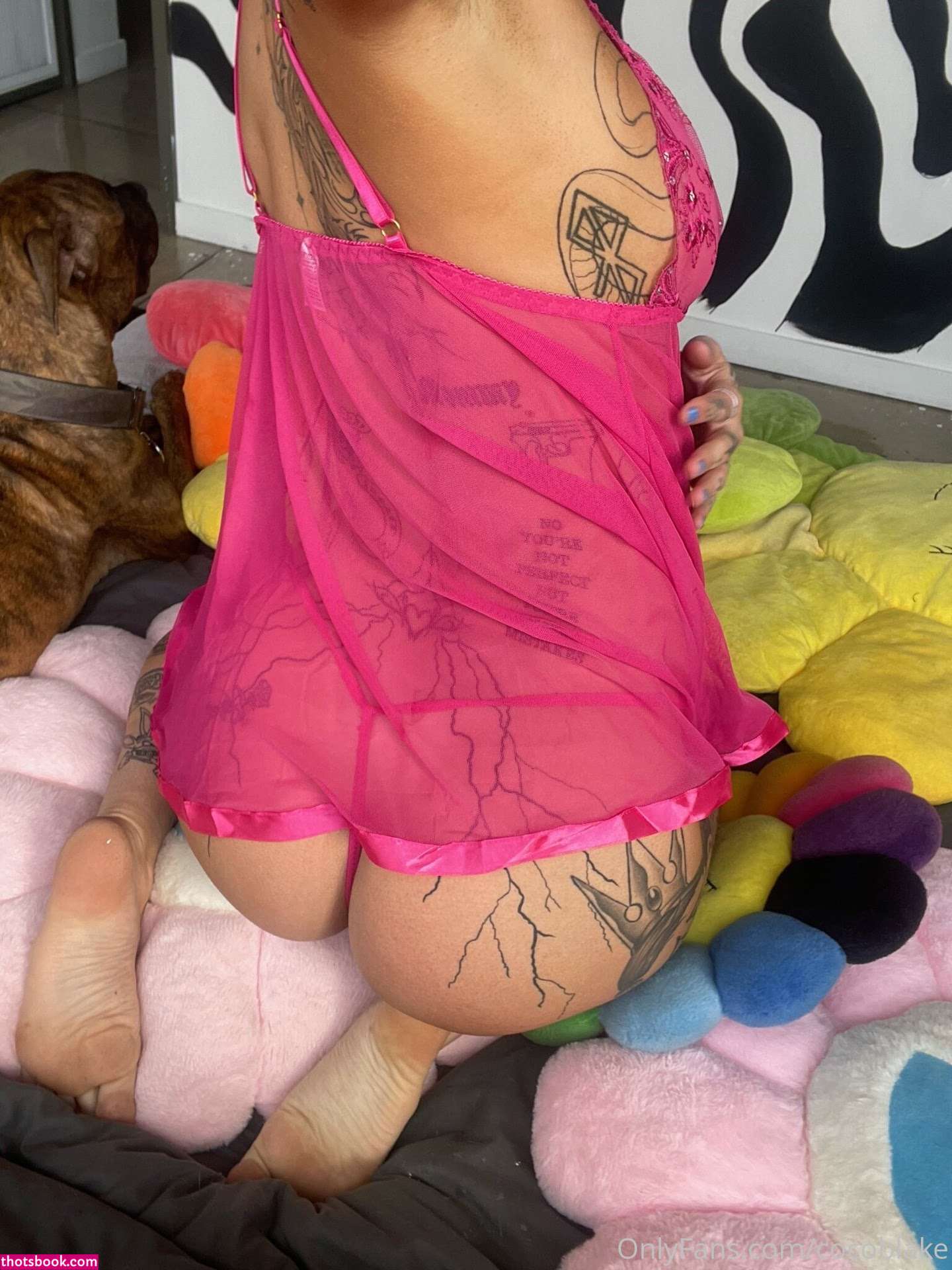 Coco Blake Photo #75