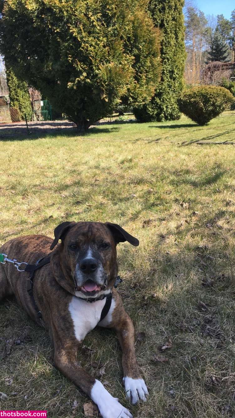 Mirbee Mirella Photo #23