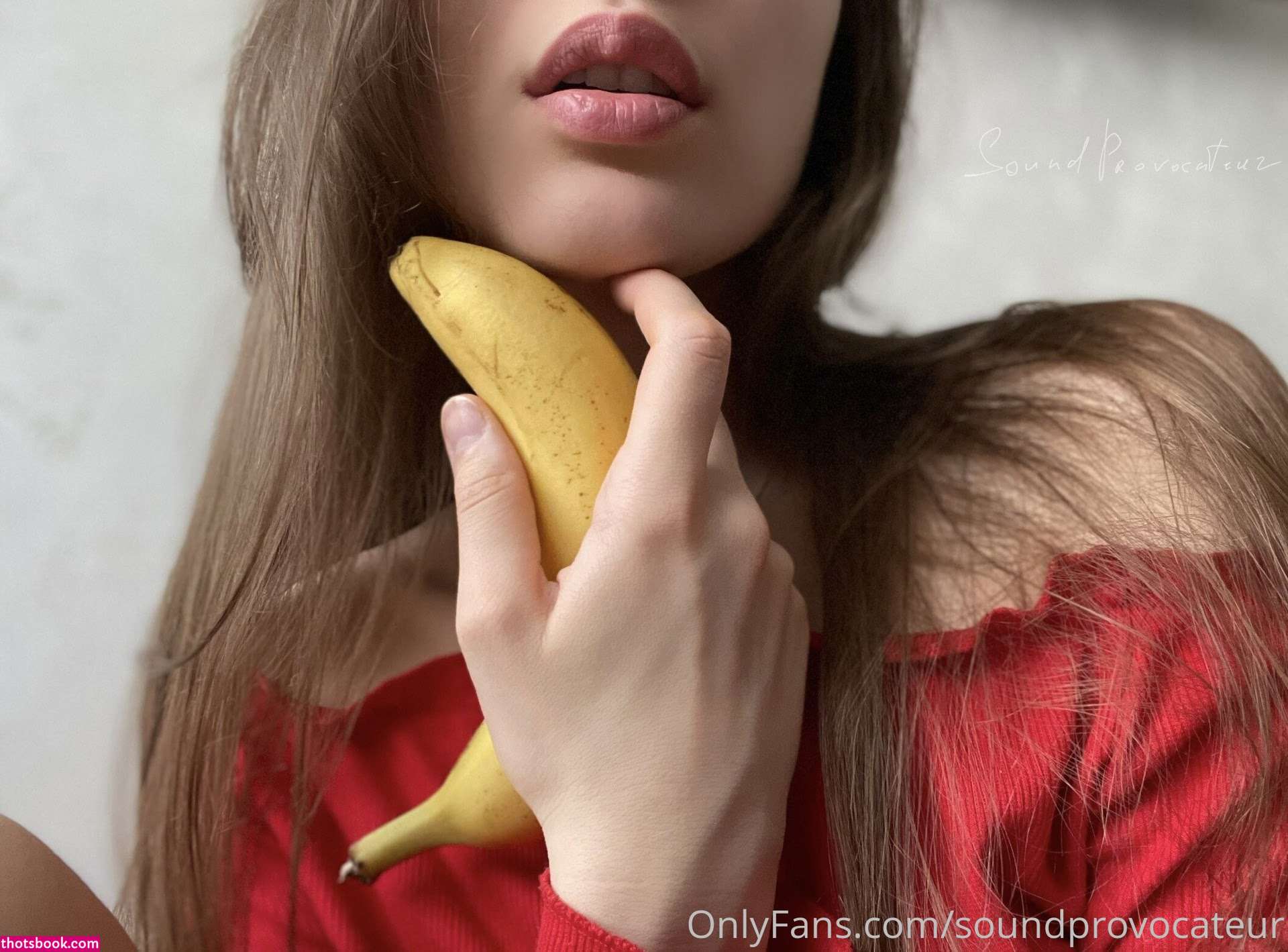 soundprovocateur Photo #19