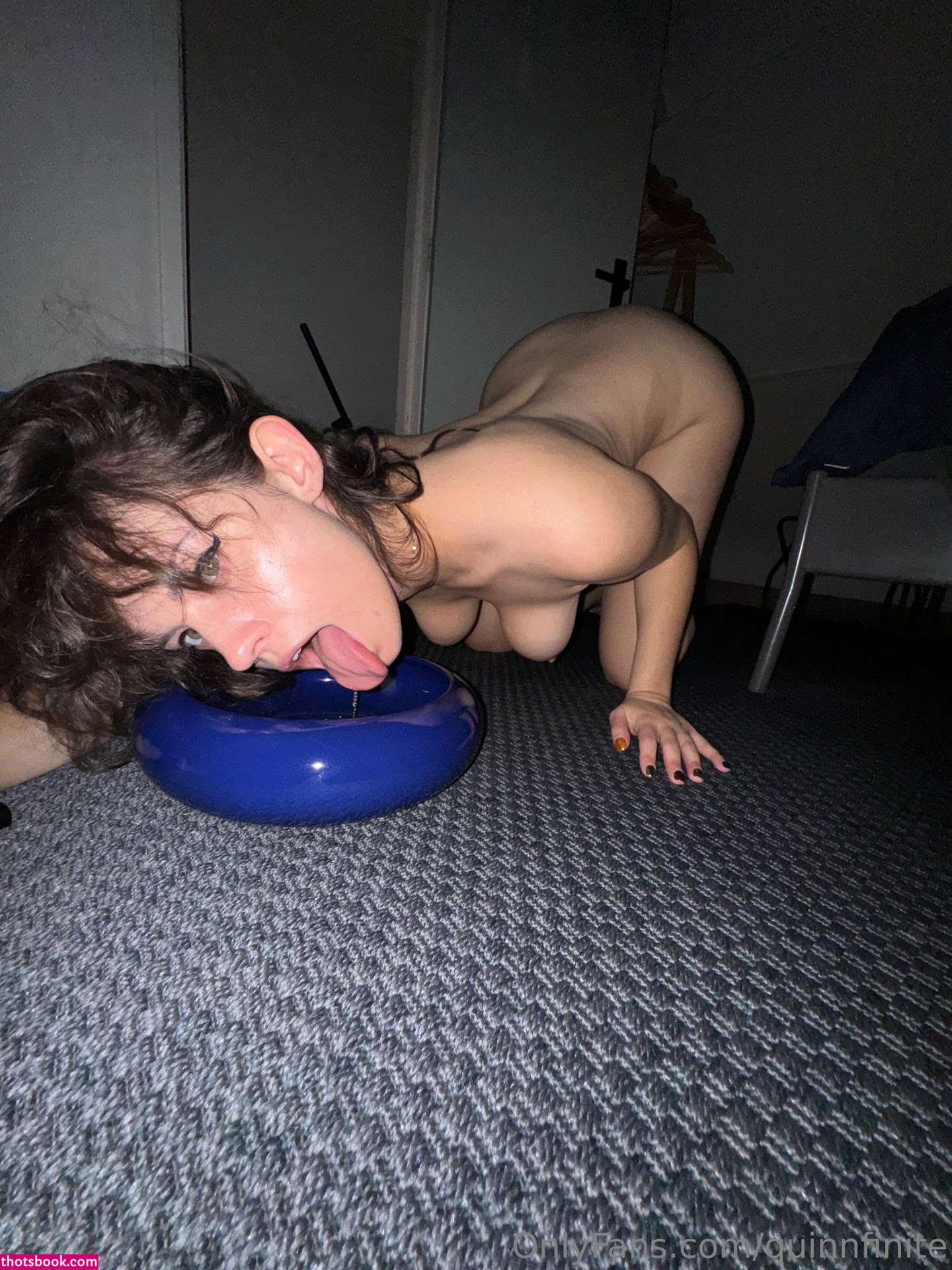 Quinn Finite Photo #328