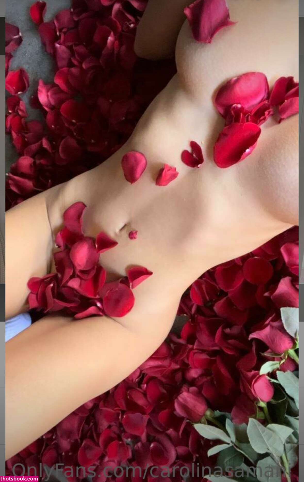 Carolina Samani Photo #417