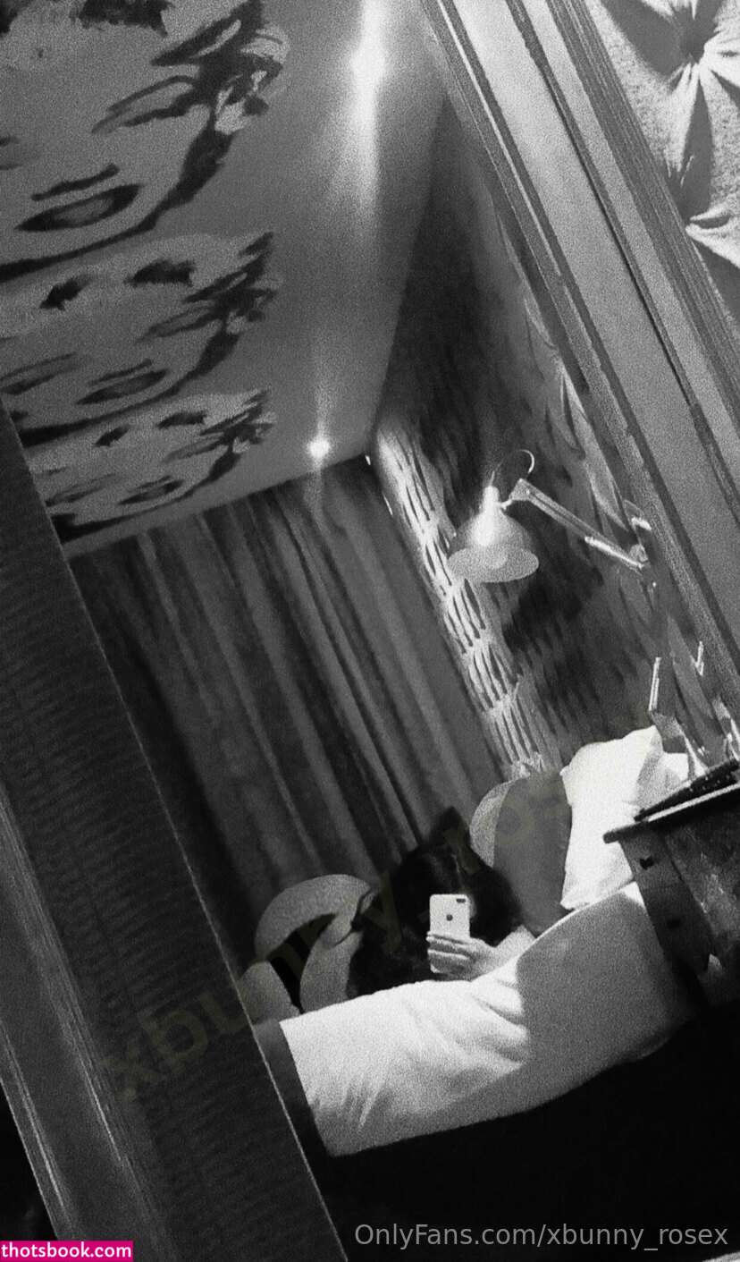 Xbunny Rosex Photo #5