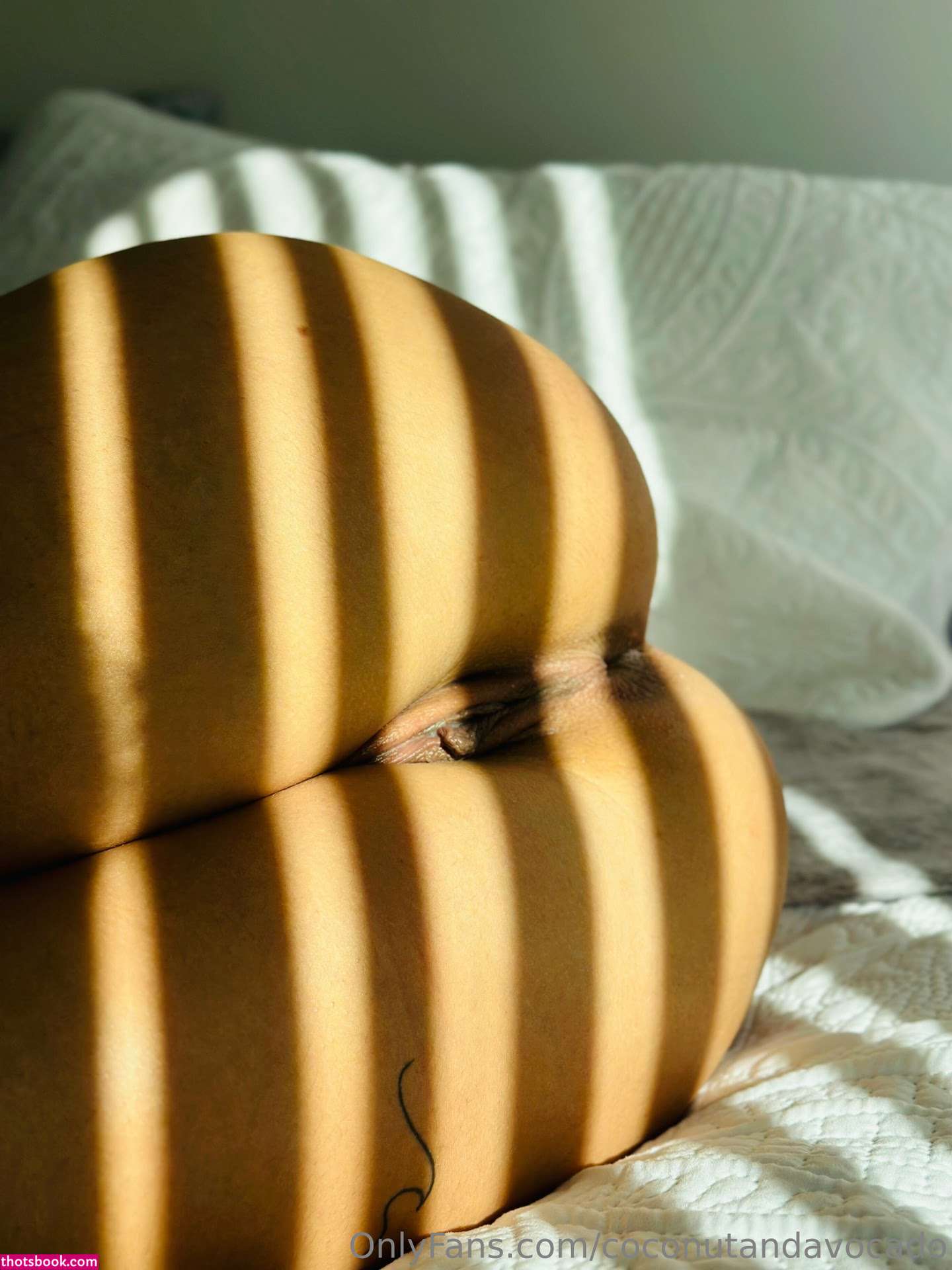 Coconutandavocado Photo #73