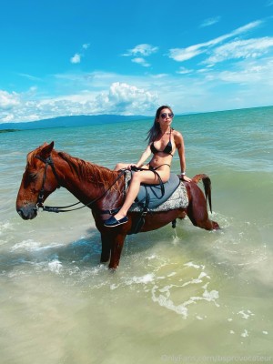 Bsprovocateur Photo #164