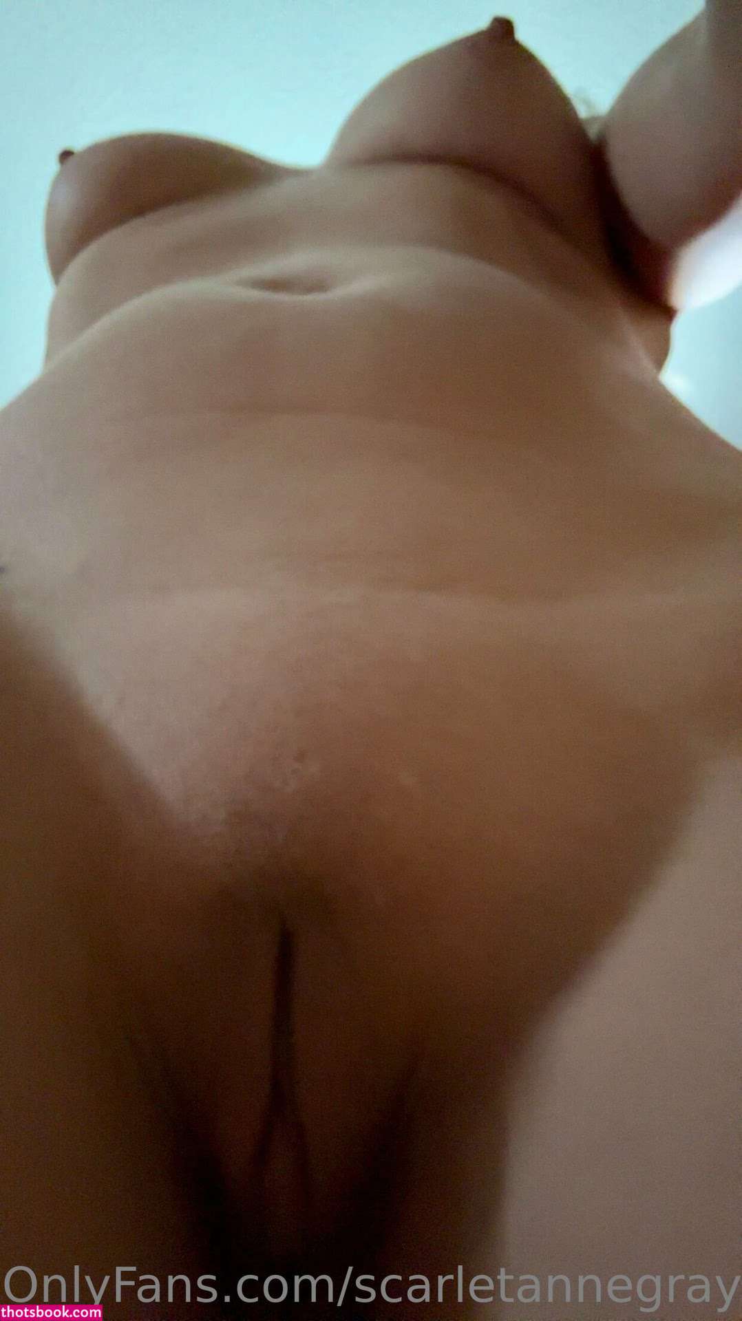 scarletannegray Photo #74