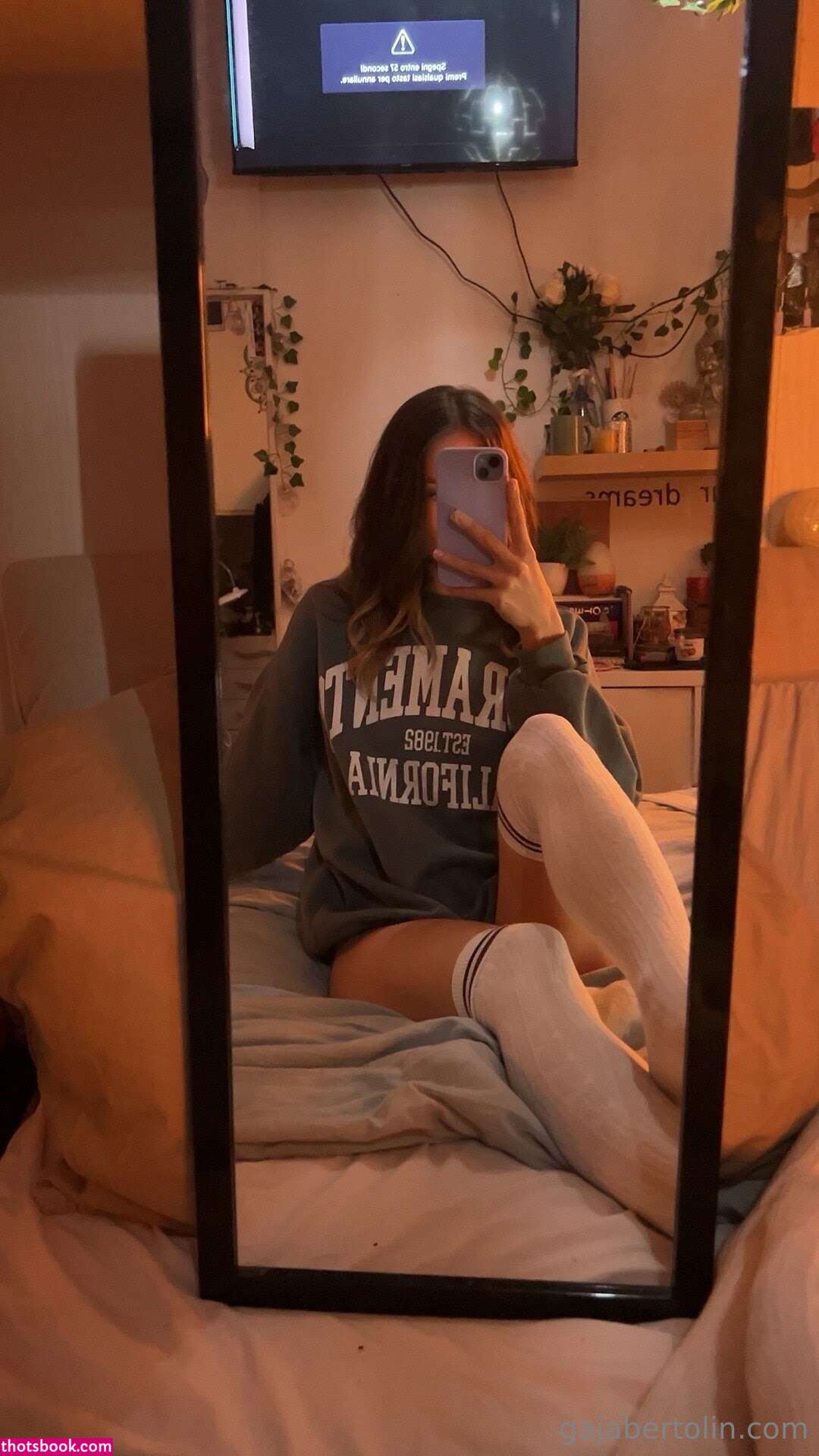 Gajabertolin Photo #7