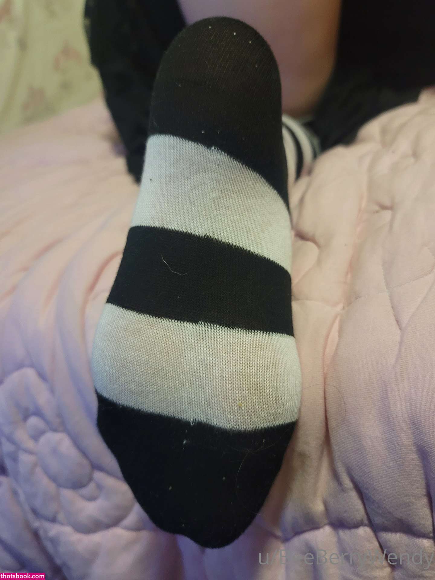 beeberrywendy Photo #49