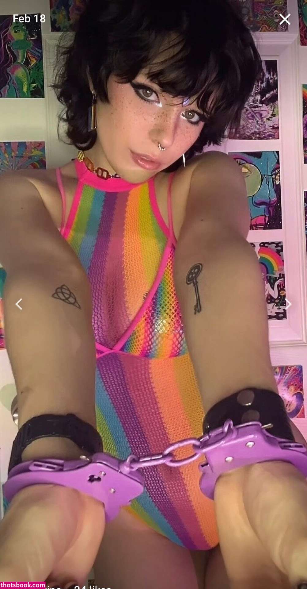 Frenchfriar Photo #21