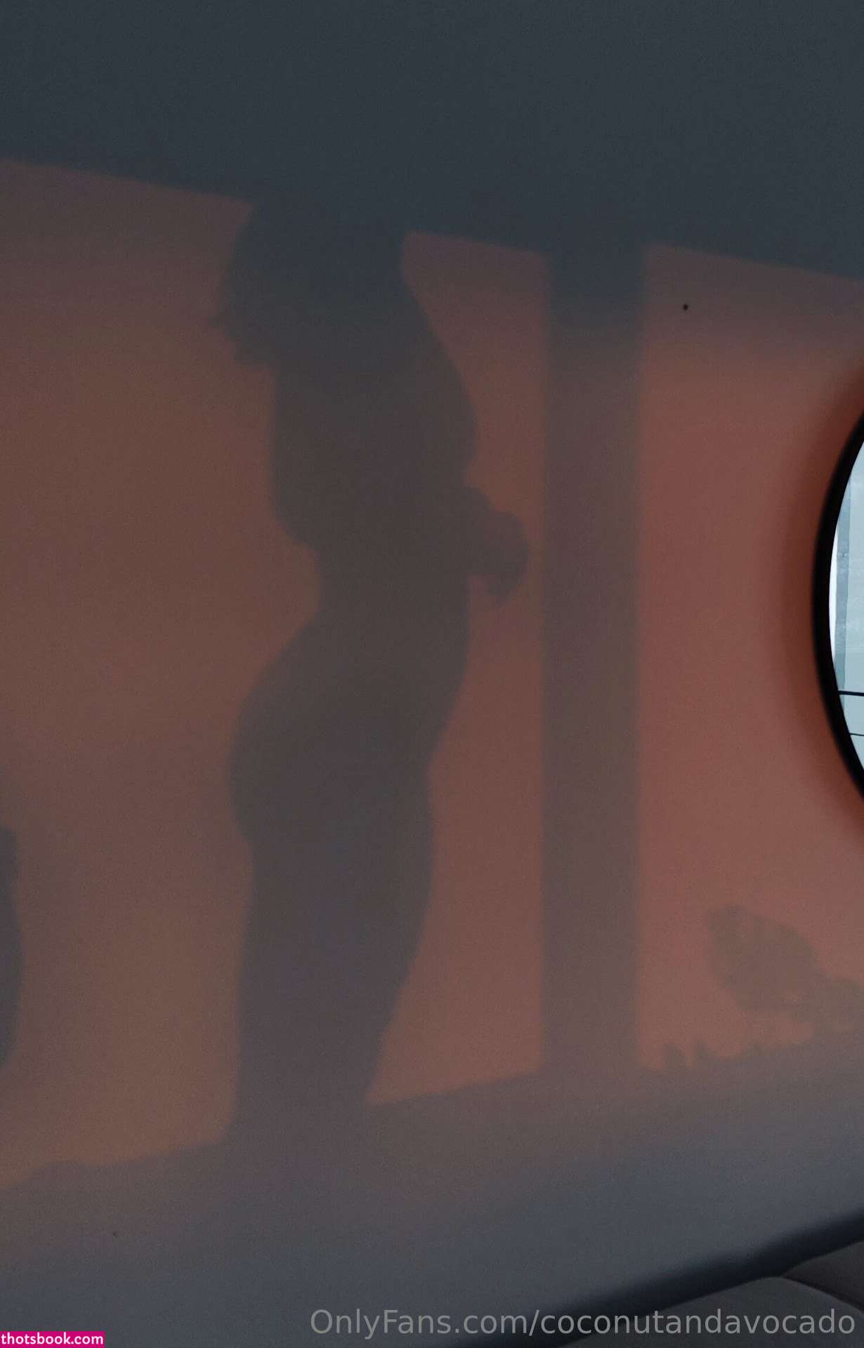 Coconutandavocado Photo #25