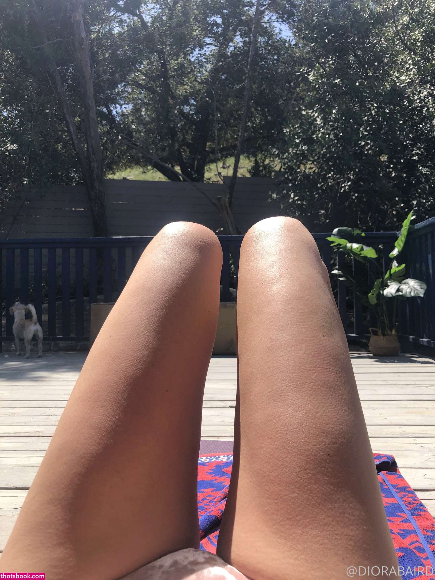 Diora Baird Photo #712